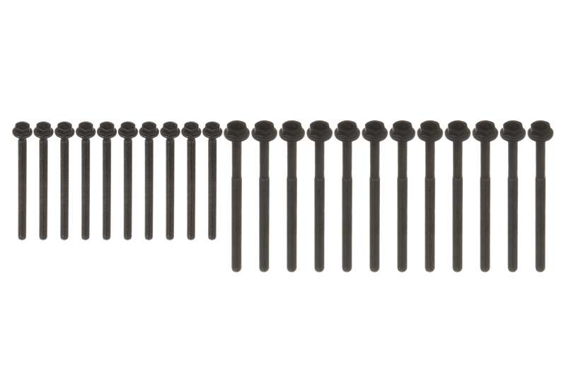 Set prezoane chiulasa